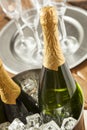 Bubbling Champagne in a Glass Royalty Free Stock Photo