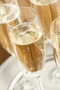 Bubbling Champagne in a Glass Royalty Free Stock Photo