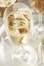 Bubbling Champagne in a Glass Royalty Free Stock Photo