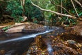 Bubbling creek in a rainforest. Royalty Free Stock Photo