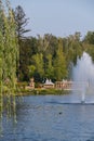 A bubbling fountain in the middle of a blue decorative lake in the background of a viewing platform. Royalty Free Stock Photo