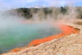 Bubbling geothermal Champagne Pool, New Zealand Royalty Free Stock Photo