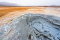 Bubbling geothermal hot/mud pool in the Hverarond area near Myvatn in the Icelandic landscape.