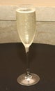 Bubbling glass of champagne in a glass Royalty Free Stock Photo