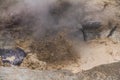 Bubbling Mud Hole in Yellowstone Royalty Free Stock Photo