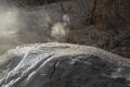 Bubbling mud mound near Rotorua geothermal area in New Zealand.