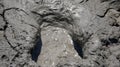 Bubbling mud in a mud volcano. Royalty Free Stock Photo