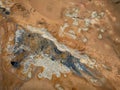 Bubbling mud pot in a geothermal area, directly above view Royalty Free Stock Photo