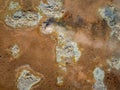 Bubbling mud pot in a geothermal area, directly above view Royalty Free Stock Photo