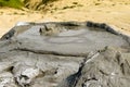 Bubbling mud volcano in Berca, Romania