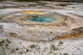 Bubbling Mustard Spring, located in the Biscuit Basin, a geothermal feature area of Yellowstone National Park