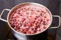 Bubbling red strawberry berries create a vibrant mixture as they simmer in a pot. Royalty Free Stock Photo