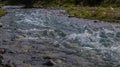 Bubbling water in a boisterous river in a mountainous area.