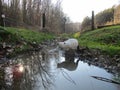 Bubbs reflection in the creek