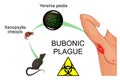 Bubonic plague