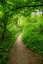 Bucamante waterfalls woods and paths in the park