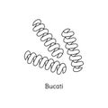 Bucati pasta illustration. Vector doodle sketch. Traditional Italian food. Hand-drawn image for engraving or coloring