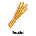 Bucatini icon, cartoon style