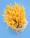 Bucatini raw pasta. Royalty Free Stock Photo