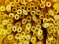 Bucatini spaghetti noodles Royalty Free Stock Photo