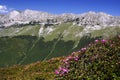 Bucegi mountains Royalty Free Stock Photo