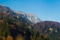 Bucegi Mountains Royalty Free Stock Photo