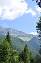 BUCEGI natural reserve mountains Royalty Free Stock Photo