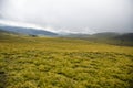 Bucegi Plateau Royalty Free Stock Photo