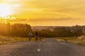 2020-07-15 Bucha, Ukraine. Happy middle-age couple on a bike ride with their dog