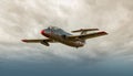 L29 Dolphin rare jet plane performing at Bias. Royalty Free Stock Photo