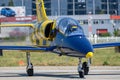 Bucharest International airshow Baltic Bees air plane aerobatic team on display