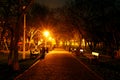 Bucharest Park at Night Royalty Free Stock Photo