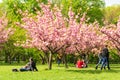 People enjoying a warm Spring day, under the cherry blossom trees in Bucharest`s Japanese Garden