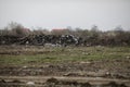 Piles of industrial and home waste lay on a field near inhabited houses