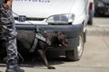 Officer from the Romanian customs train a service dog to detect drugs and ammunition near a car during a drill exercise Royalty Free Stock Photo