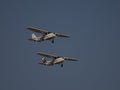 Bucharest, Romania - August 26, 2023: View of aircrafts performing during the Bucharest International Air Show, BIAS