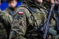 Details of a Polish soldier in uniform during the Romanian National Day military parade