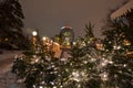 Illuminated Christmas trees in Bucharest park Royalty Free Stock Photo