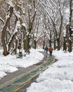 Couple walking hand in hand on an alley in King Michael I Herastrau Park in Winter, with side benches and snow covered trees.