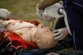 Paramedics perform CPR to a plastic dummy during a public demonstration on how to save a victim Royalty Free Stock Photo