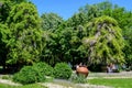 Bucharest, Romania, 9 May 2021: Minimalist garden landscape with linden trees and green leaves near the main entry in a sunny