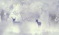 A buck and a doe whitetail deer are seen in a foggy forest Royalty Free Stock Photo