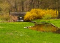 Buck Garden in New Jersay