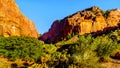 Buck Pasture Mountain at the Lee Pass Trailhead in the Kolob Canyon, the north western area of Zion National Park Royalty Free Stock Photo