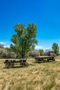 Buckboard and Hay Wagon 2