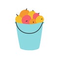 A bucket of apples, autumn harvest. Vector illustration in the style of flat doodles on a white background Royalty Free Stock Photo