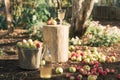 Bucket of apples and a bottle of organic apple juice in a garden