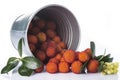 Bucket with arbutus unedo fruits over white Royalty Free Stock Photo