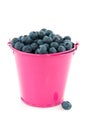 Bucket blueberries Royalty Free Stock Photo