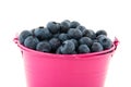 Bucket blueberries Royalty Free Stock Photo